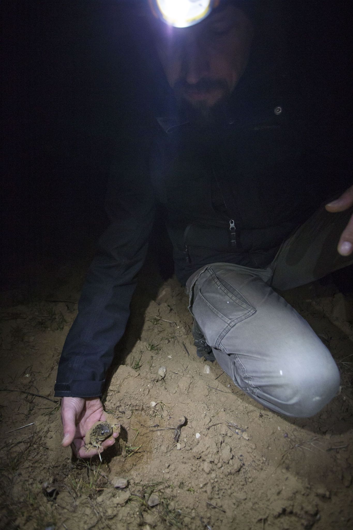 Jérôme Brichard in the field © David Tatin Orbisterre 1